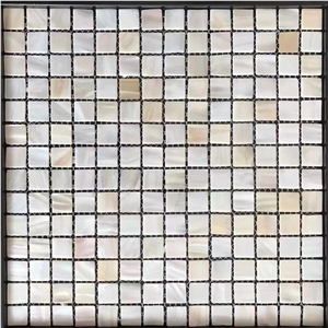 Mother Of Pearl Shell Mosaic Pattern Tile Nature