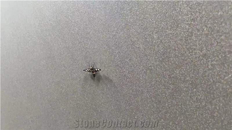 Terrazzo Sandstone Apple Grey A Quality Slab Tiles