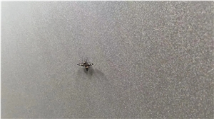 Terrazzo Sandstone Apple Grey A Quality Slab Tiles