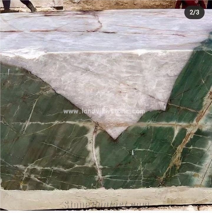 Backlit Botanic Wave Quartzite Wall Slabs Design