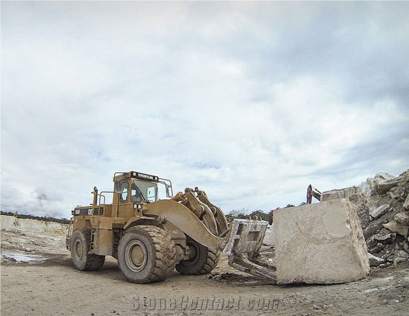 Classic Coral Stone, Dominican White Coral Stone Blocks