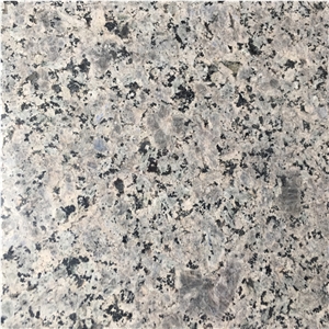 Chocolate Granite Slabs & Tiles, Iran Brown Granite