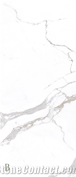 Butterfly White Sintered Stone Slab