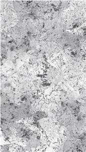 Silver Fox Sintered Stone Slab