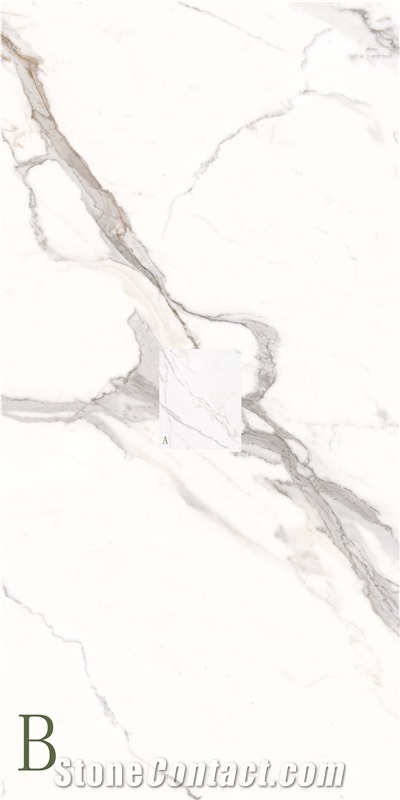 Statuary Venato Sintered Stone Slab