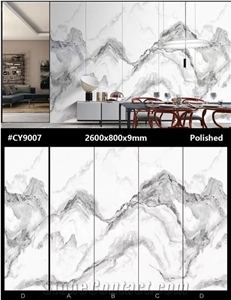 Top Selling Scenery Sintered Stone Slab For Wall In China