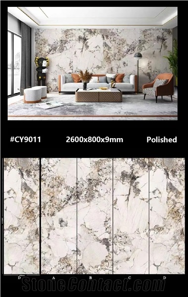 Top Selling Scenery Sintered Stone Slab For Wall In China