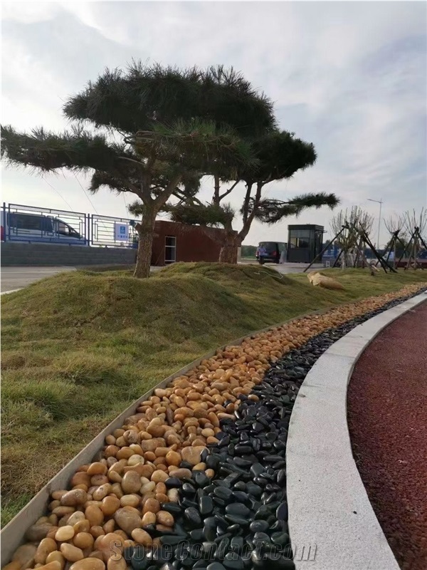 Wholesale Garden Natural Light Beige Pebble Stone Polish