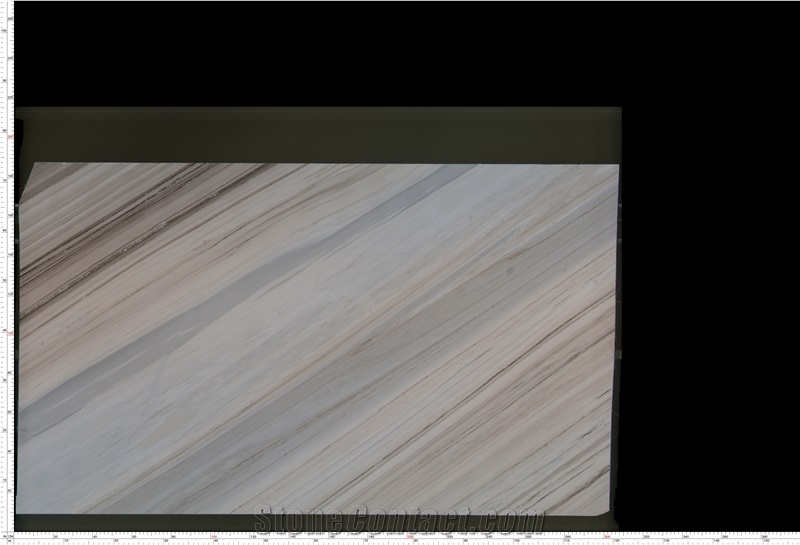 Italy Marble Palissandro Bronzetto Slabs