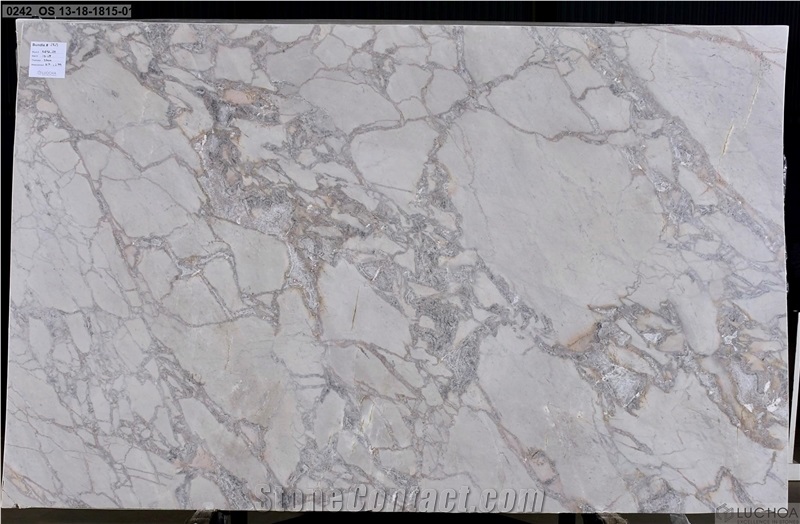 Alba Calacatta Marble Slabs