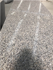 G602 Grey Granite Tiles & Slabs,Grey Granite G602