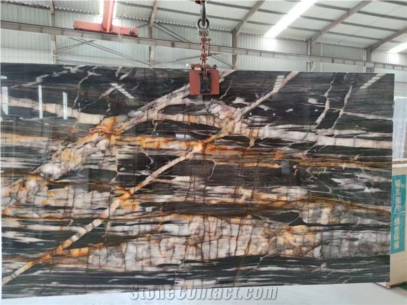 Black And Gold Natural Quartzite Bookmatching Big Slabs