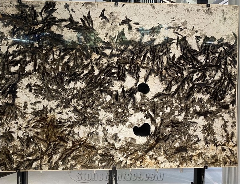 Brazil Alpinus White Polished Luxury Granite