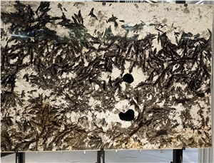 Brazil Alpinus White Polished Luxury Granite Brazil Alpinus White Polished Luxury Granite