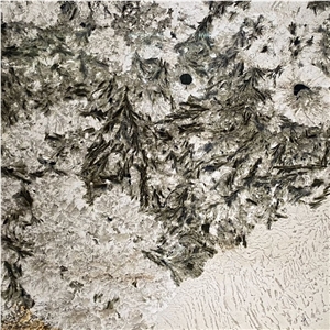 Brazil Alpinus White Polished Luxury Granite