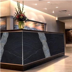 Oaster Black Quartzite Slabs