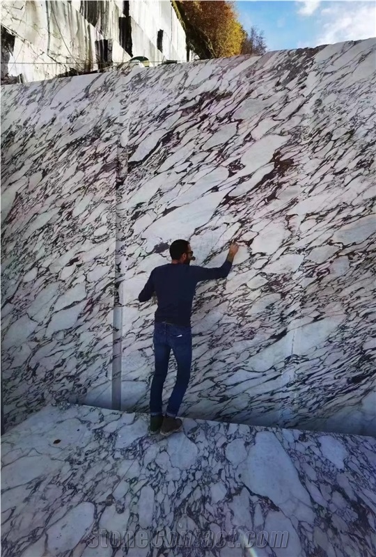 Breccia Viola Calacatta Viola Marble Bvlgari White Marble
