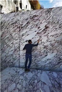 Breccia Viola Calacatta Viola Marble Bvlgari White Marble