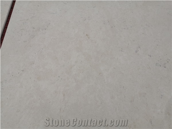 ACM Backed Lightweight Fossil Woodstone Panels