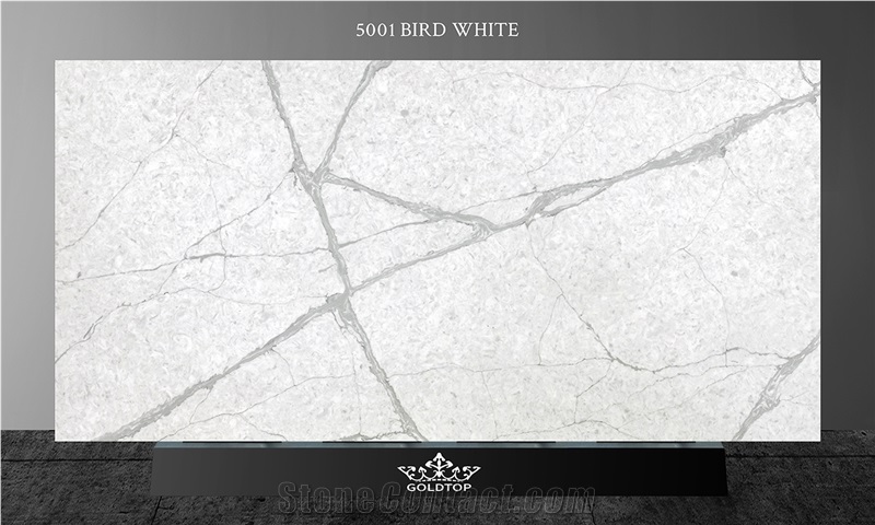 Cheap 5001 Bird White Calacatta Quartz Kitchen Countertop