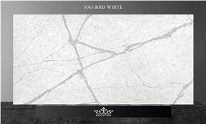 Cheap 5001 Bird White Calacatta Quartz Kitchen Countertop