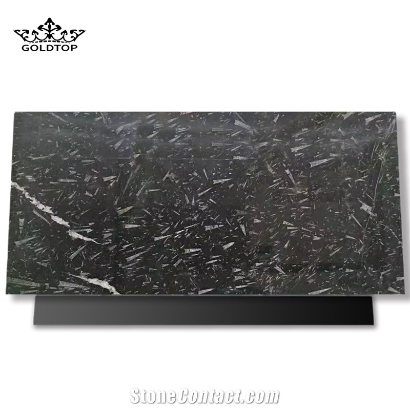 Natural Stone Black Fossil Stone Ocean Jura Marble Slab
