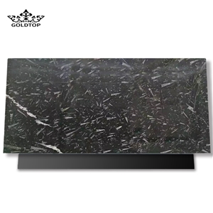 Natural Stone Black Fossil Stone Ocean Jura Marble Slab