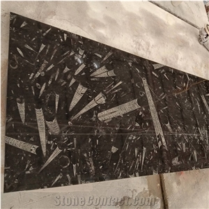 Natural Stone Black Fossil Stone Ocean Jura Marble Slab