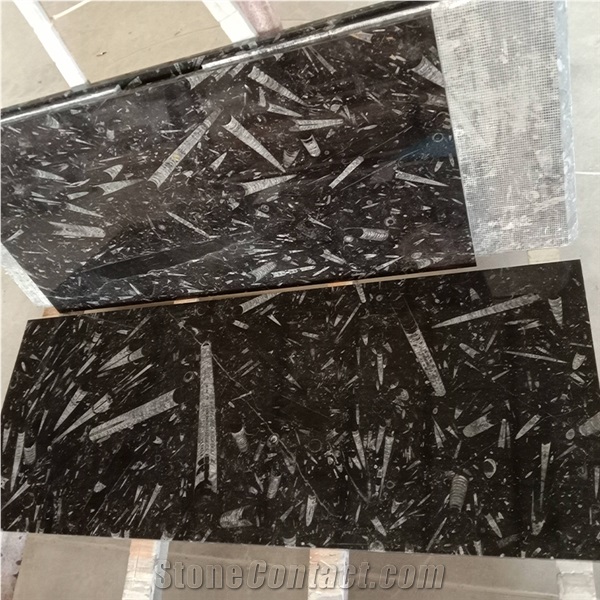 Natural Stone Black Fossil Stone Ocean Jura Marble Slab