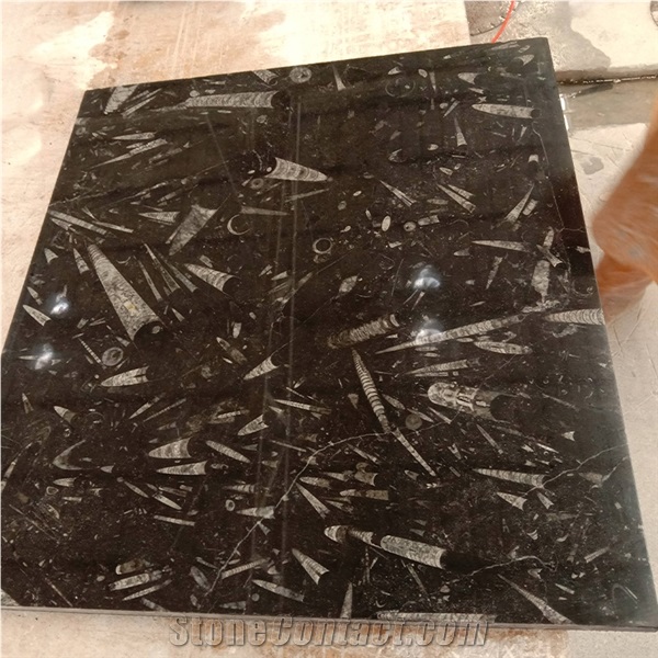 Natural Stone Black Fossil Stone Ocean Jura Marble Slab