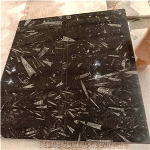 Natural Stone Black Fossil Stone Ocean Jura Marble Slab