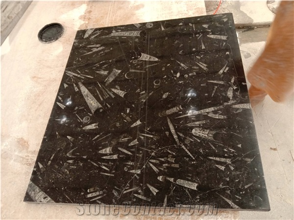 Natural Stone Black Fossil Stone Ocean Jura Marble Slab