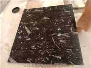 Natural Stone Black Fossil Stone Ocean Jura Marble Slab
