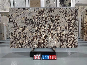Hot Snow Mountain Silver Fox GRANITE Slab For Wall