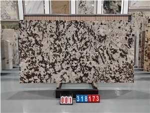 Hot Snow Mountain Silver Fox GRANITE Slab For Wall