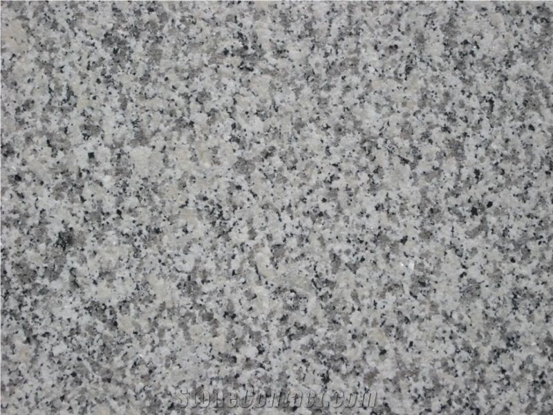 Bianco Sardo Granite Slabs