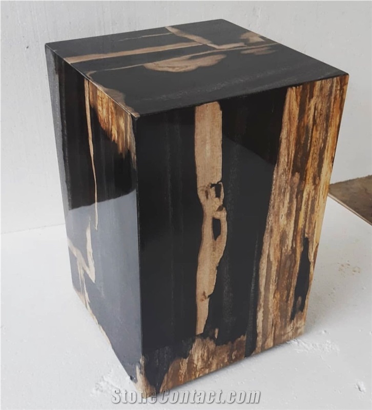 Full Polished Petrified Wood Stool