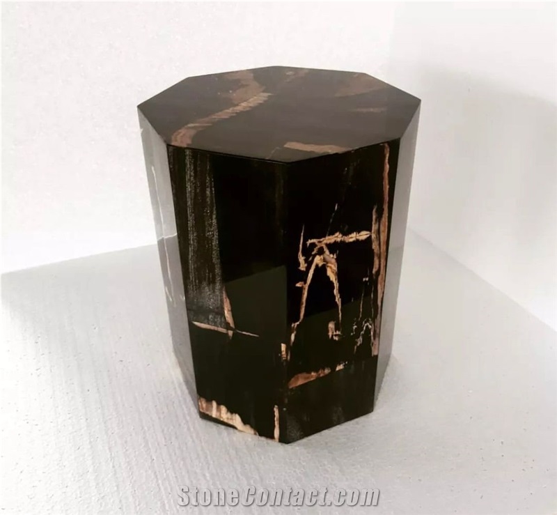 Full Polished Petrified Wood Stool