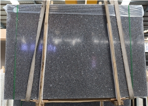 Hot New Special Grey Terrazzo With Shell Slab For Wall