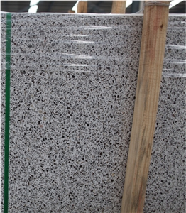 Light Grey Terrazzo Big Slab Polish