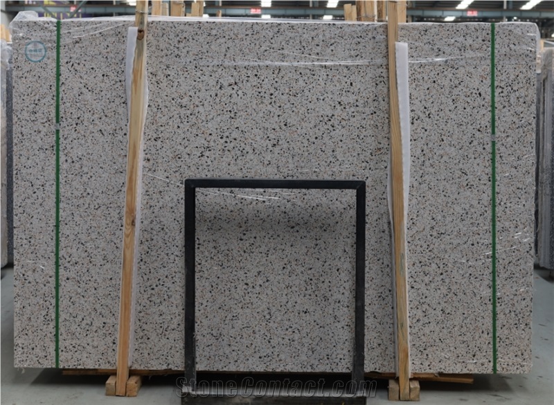 Light Grey Terrazzo Big Slab Polish