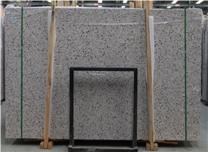 Light Grey Terrazzo Big Slab Polish