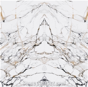 1600*3200MM BOOKMATCH GLOSSY GOLDEN YEAR PORCELAIN SLAB