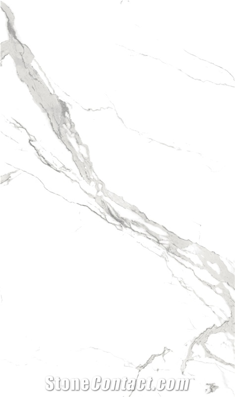 1600*3200MM  GLOSSY VICTORIA PORCELAIN