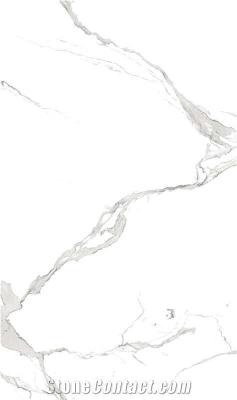 1600*3200MM  GLOSSY VICTORIA PORCELAIN