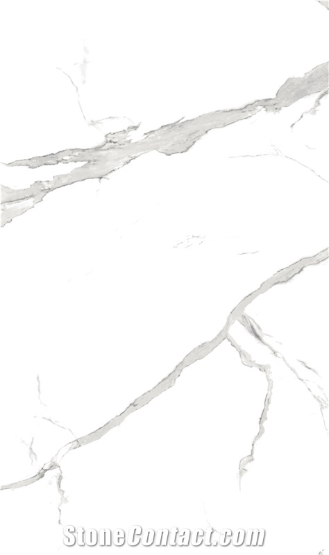 1600*3200MM  GLOSSY VICTORIA PORCELAIN