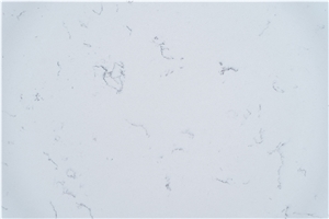 Vietnam Engineered Stone Slabs Carrara White VV1040
