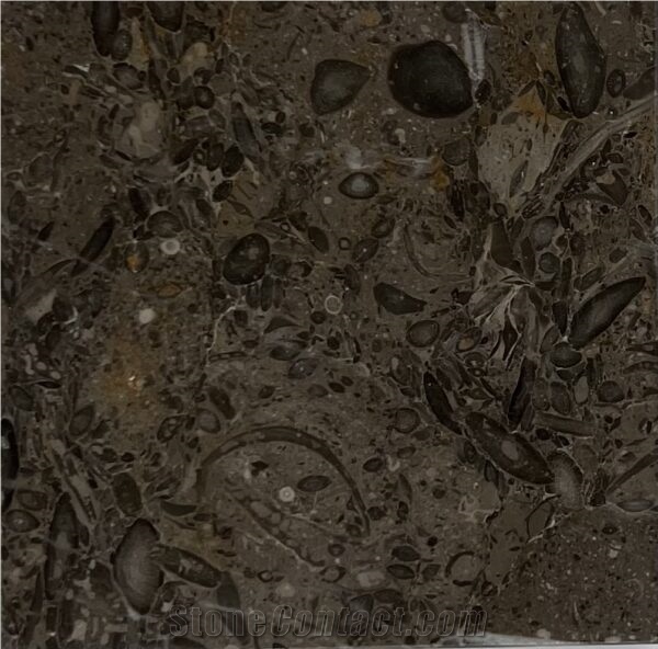 Coffee Brown Marble Slabs