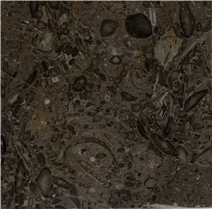 Coffee Brown Marble Slabs