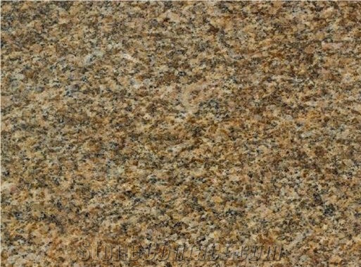 Amarillo Venezuela Granite Slabs, Giallo Guaimir Granite